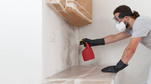 Professional Commercial Mold Remediation technician working in Holland, TX